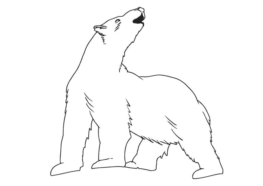 Malvorlage  polarbA¤r