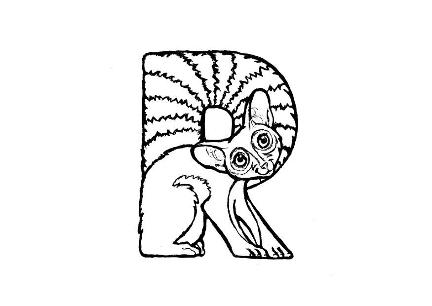 Malvorlage  r-ringtail