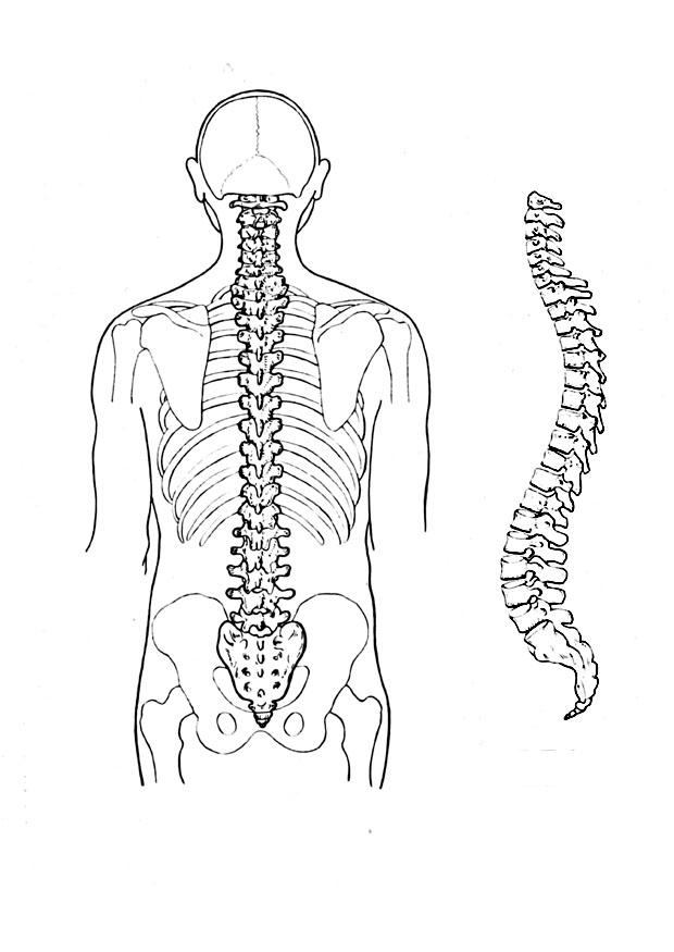 Malvorlage  rA¼ckrat