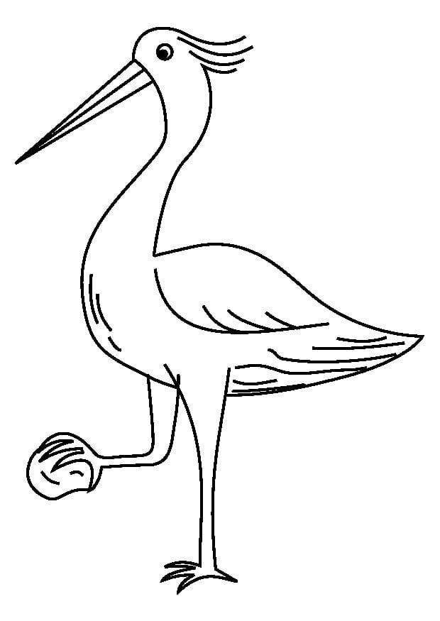 Malvorlage  reiher