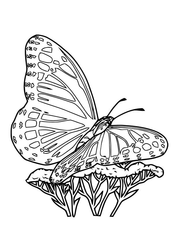 Malvorlage  schmetterling