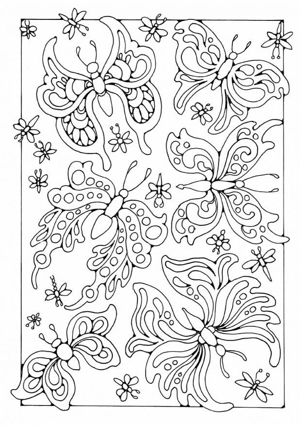 Malvorlage  schmetterlinge