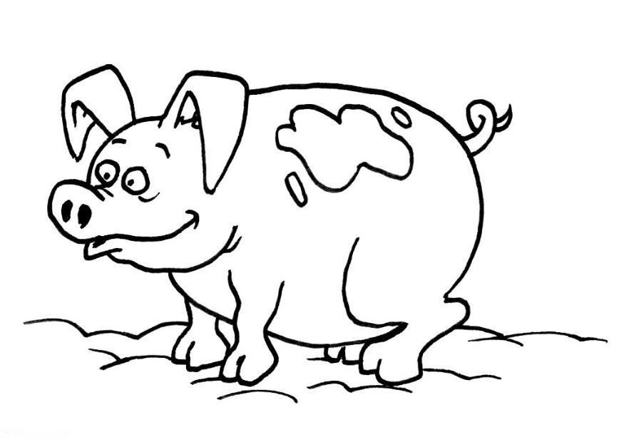 Malvorlage  schwein