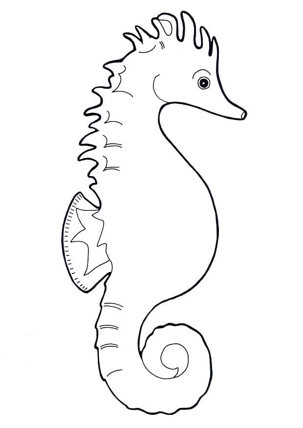 Malvorlage  seepferdchen