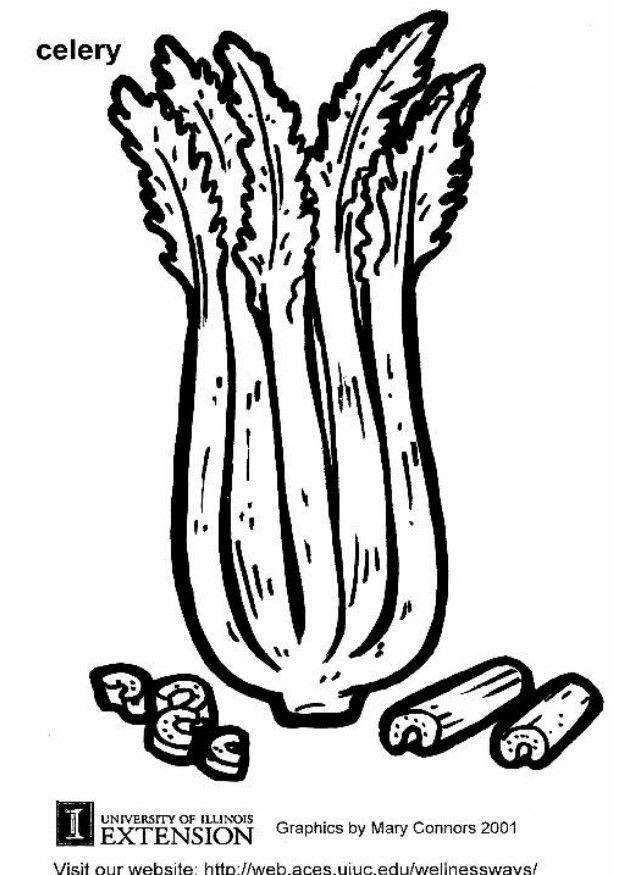 Malvorlage  sellerie