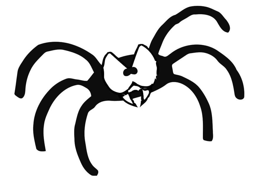 Malvorlage  spinne