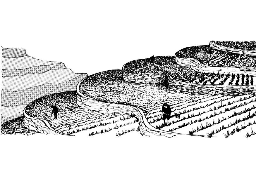 Malvorlage  terrassenbau