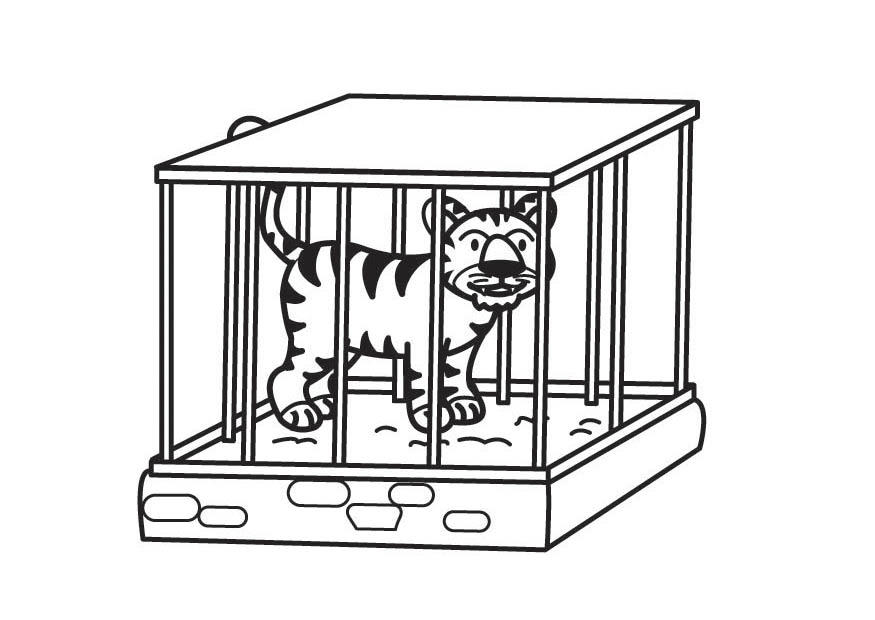 Malvorlage  tiger im kA¤fig