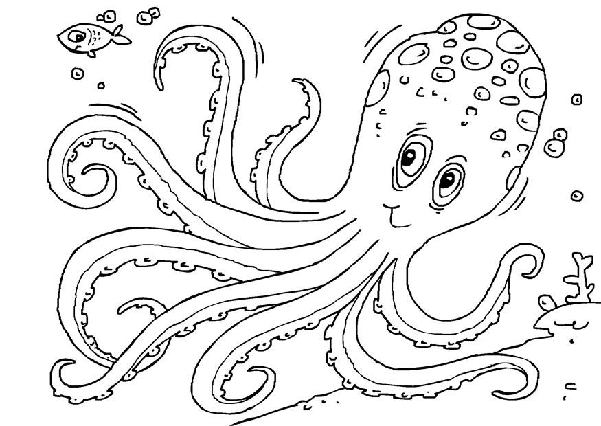 Malvorlage  tintenfisch