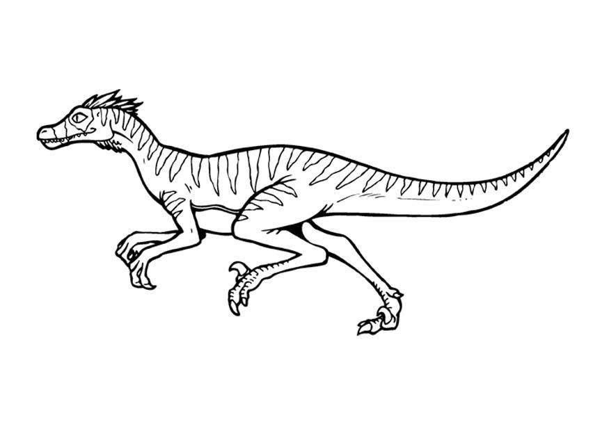 Malvorlage  velociraptor
