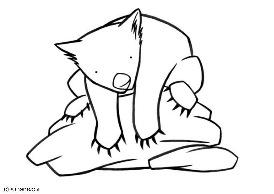 Malvorlage  wombat