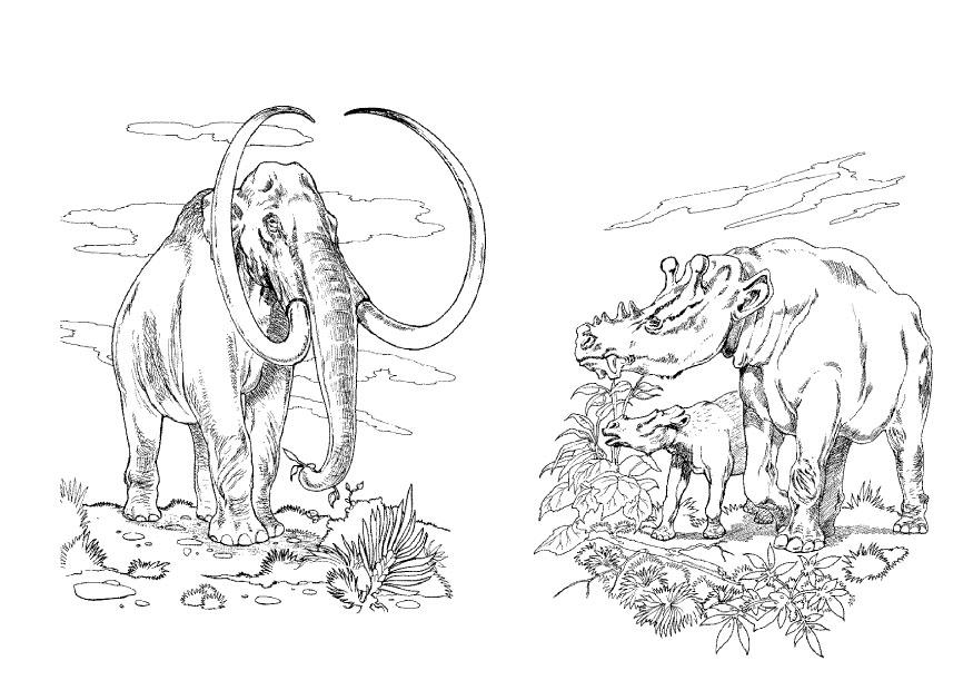 mammut-pflanzenesser Malvorlage mammut-pflanzenesser