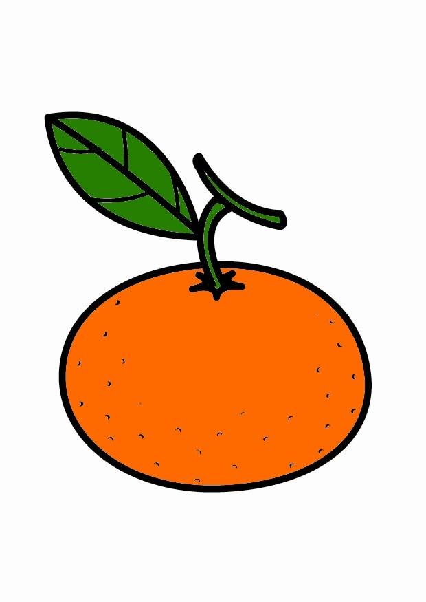 mandarine Malvorlage mandarine