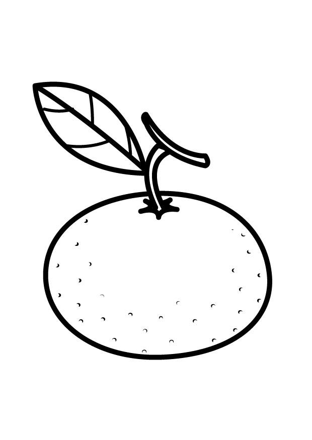 mandarine Malvorlage mandarine
