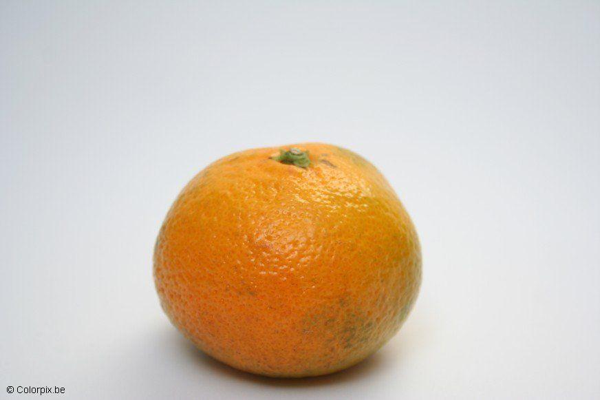 mandarine Foto mandarine