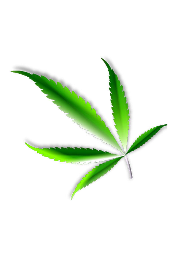 marihuana Bild marihuana