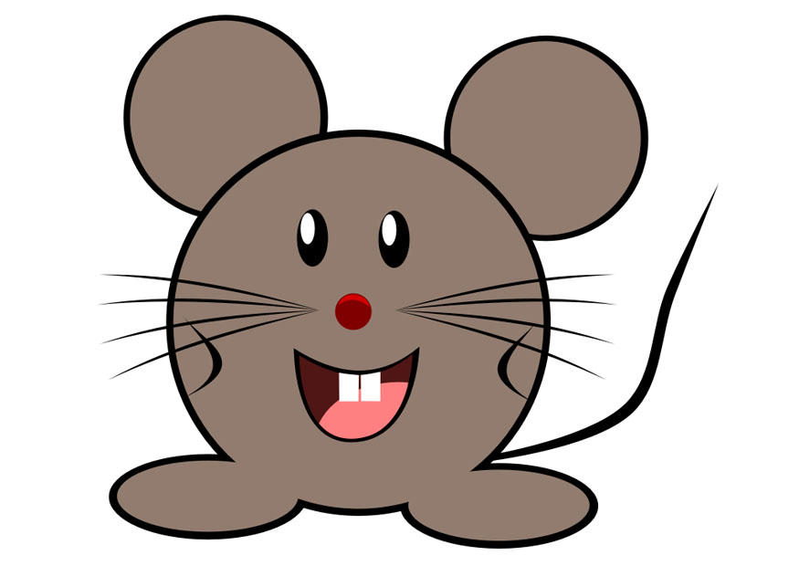 maus Bild maus