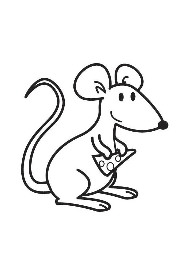 maus mit kA¤se Malvorlage maus mit kA¤se