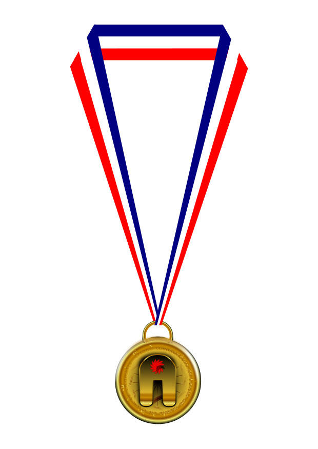 medaille Bild medaille