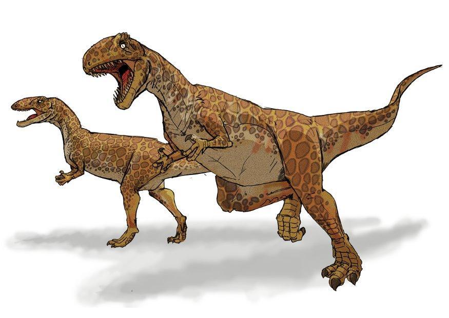 megalosaurus Bild megalosaurus