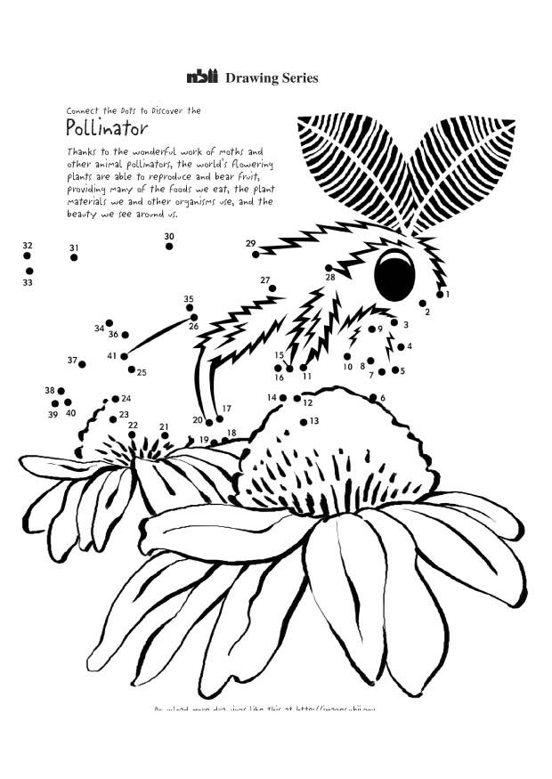 motte Malvorlage motte