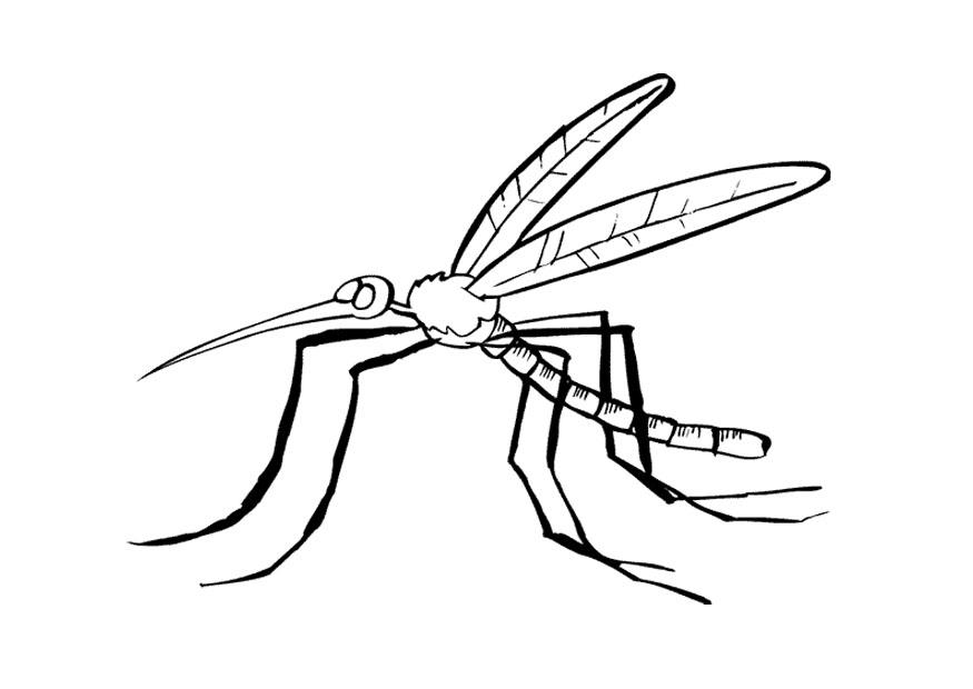 mA¼cke Malvorlage mA¼cke