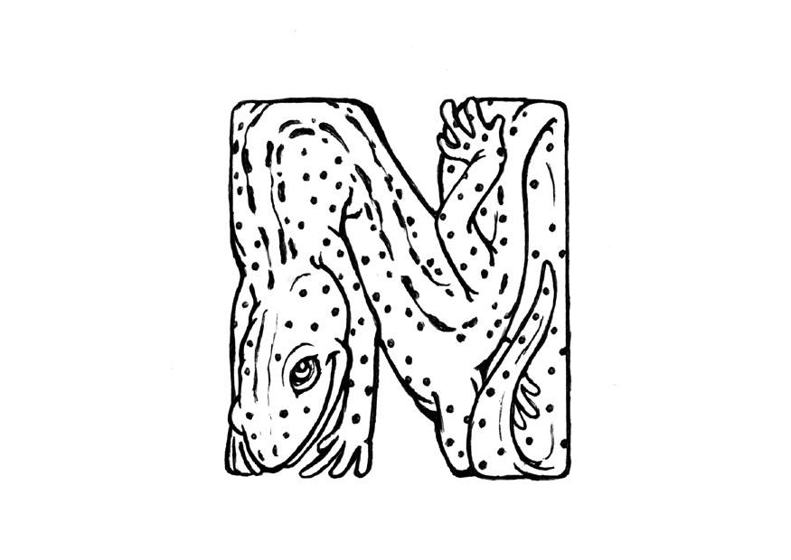 Malvorlage n-newt