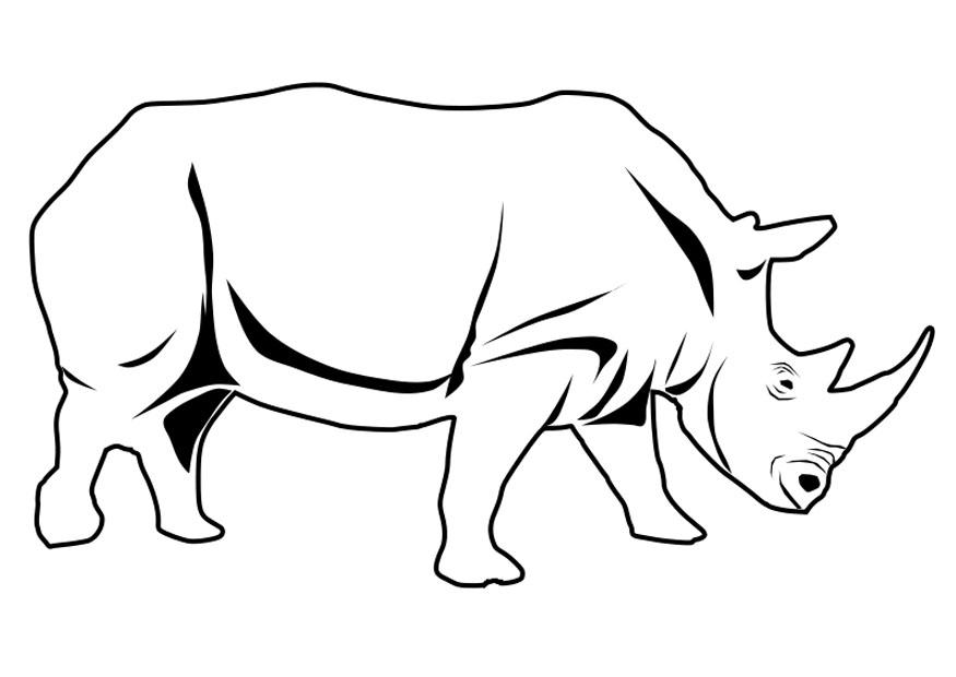 nashorn Malvorlage nashorn