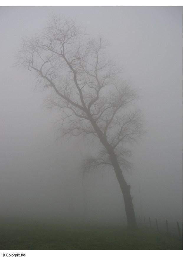 nebel Foto nebel