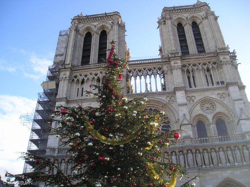 notre dame paris Foto notre dame paris