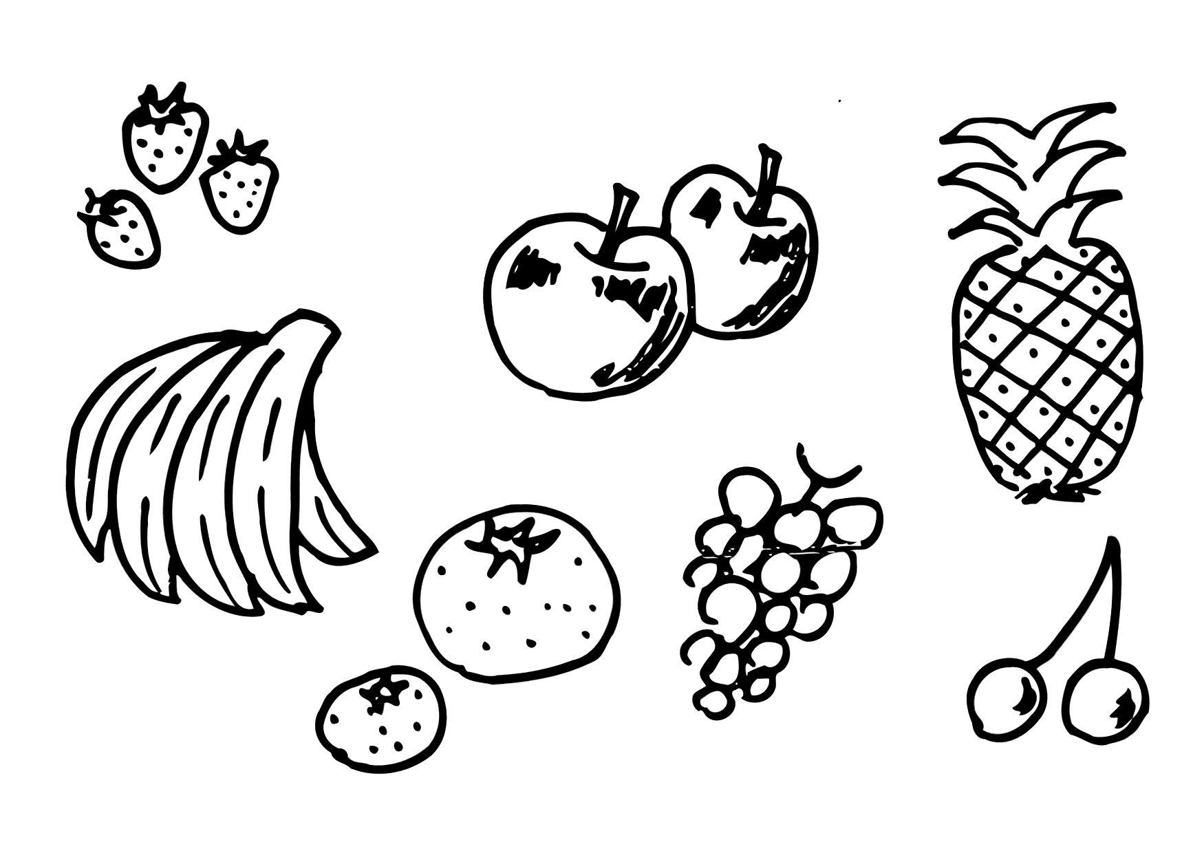 obst Malvorlage obst