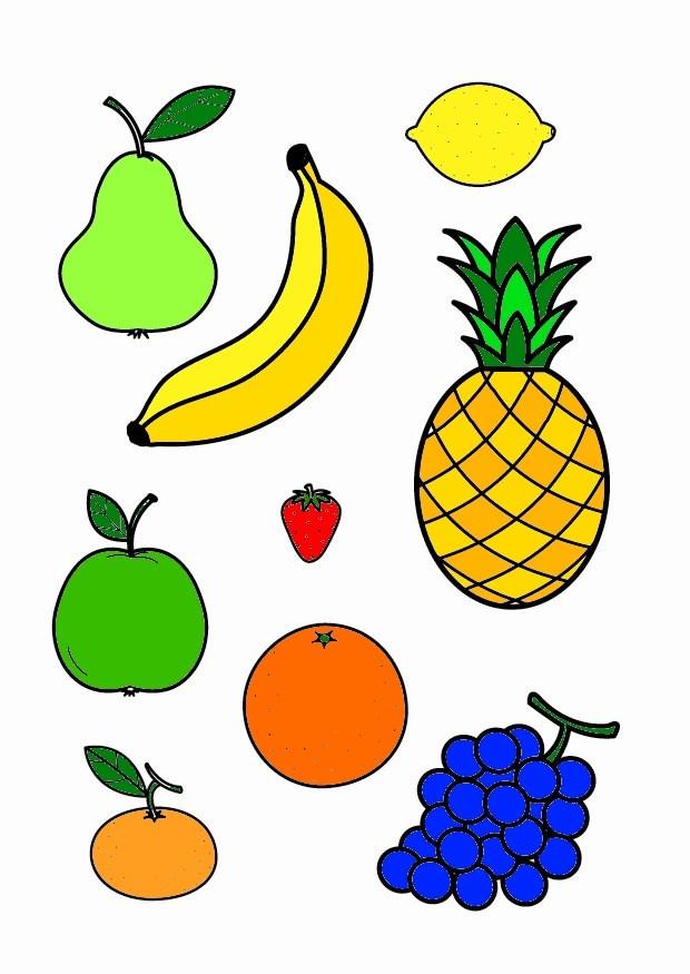 obst Bild obst