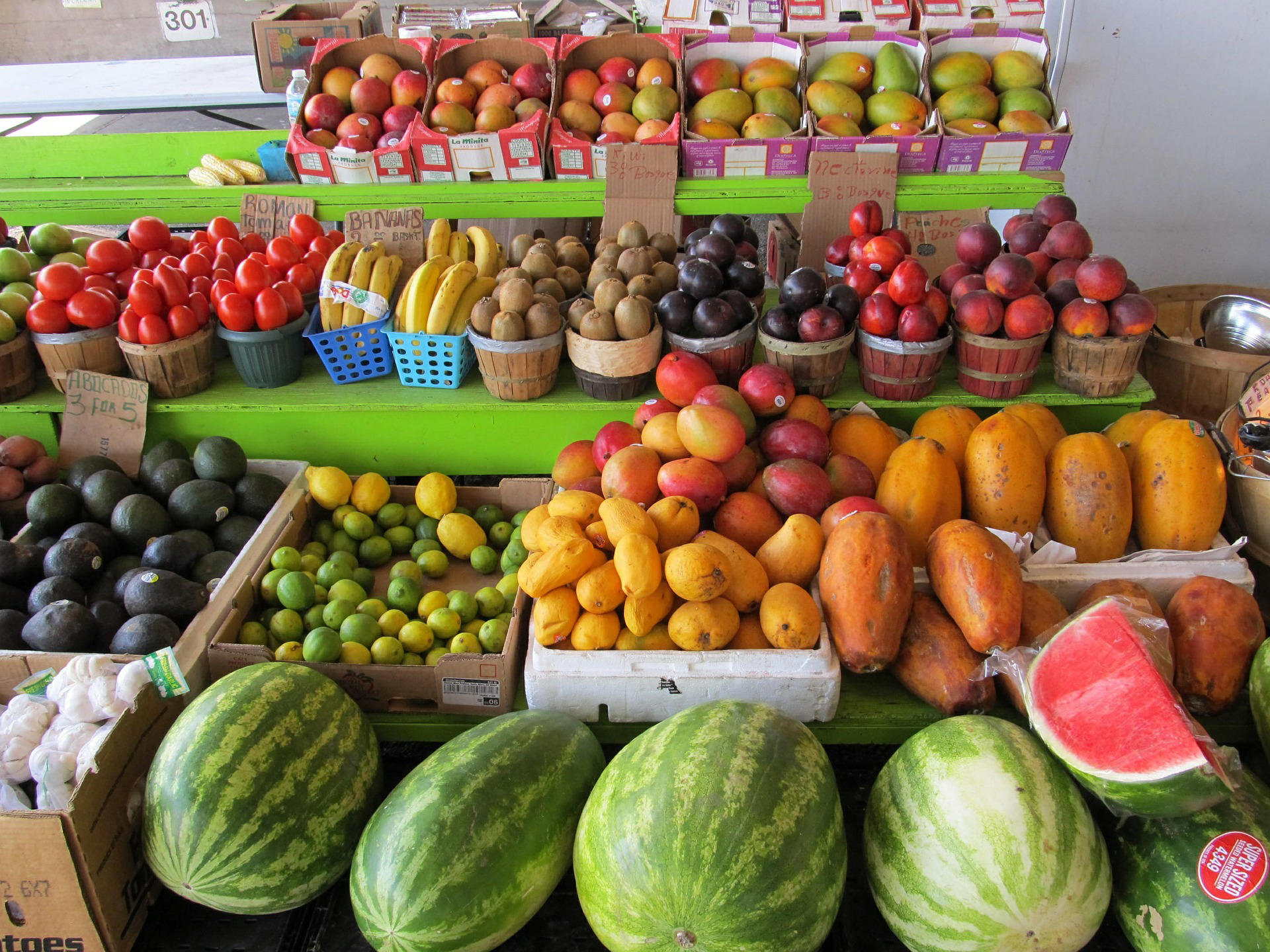 obst Foto obst