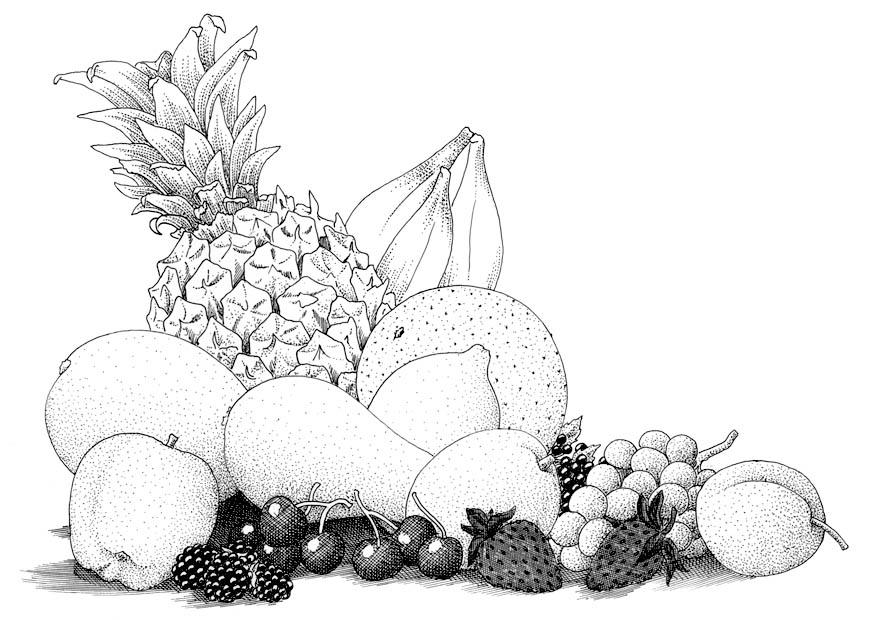 obst Malvorlage obst