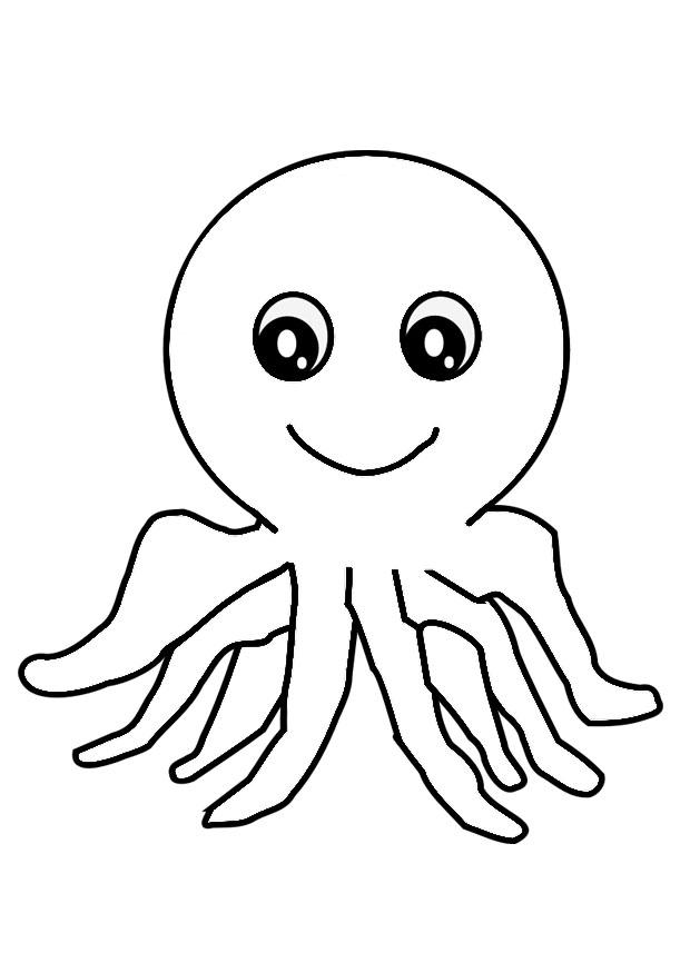 oktopus Malvorlage oktopus