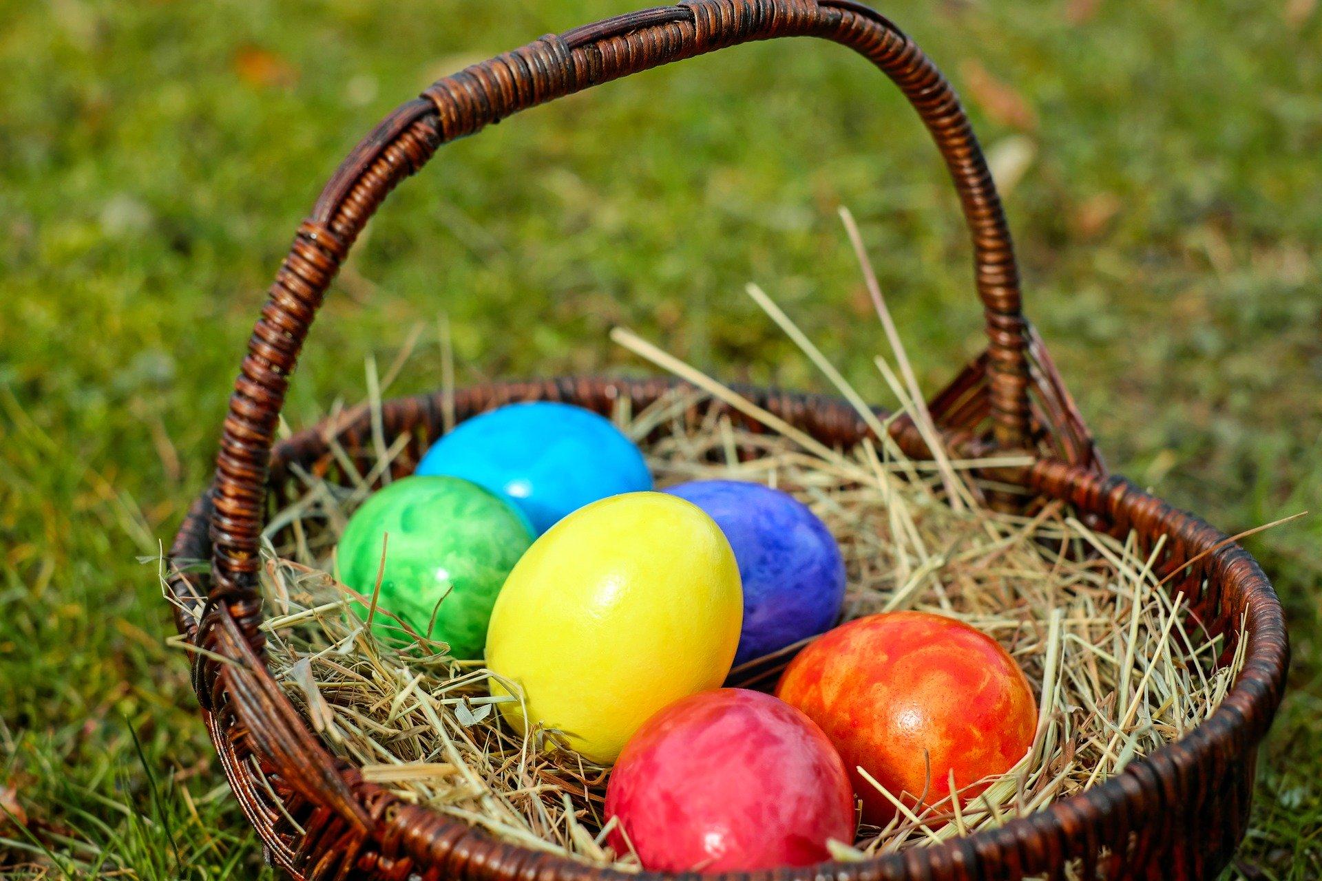 osternest Foto osternest