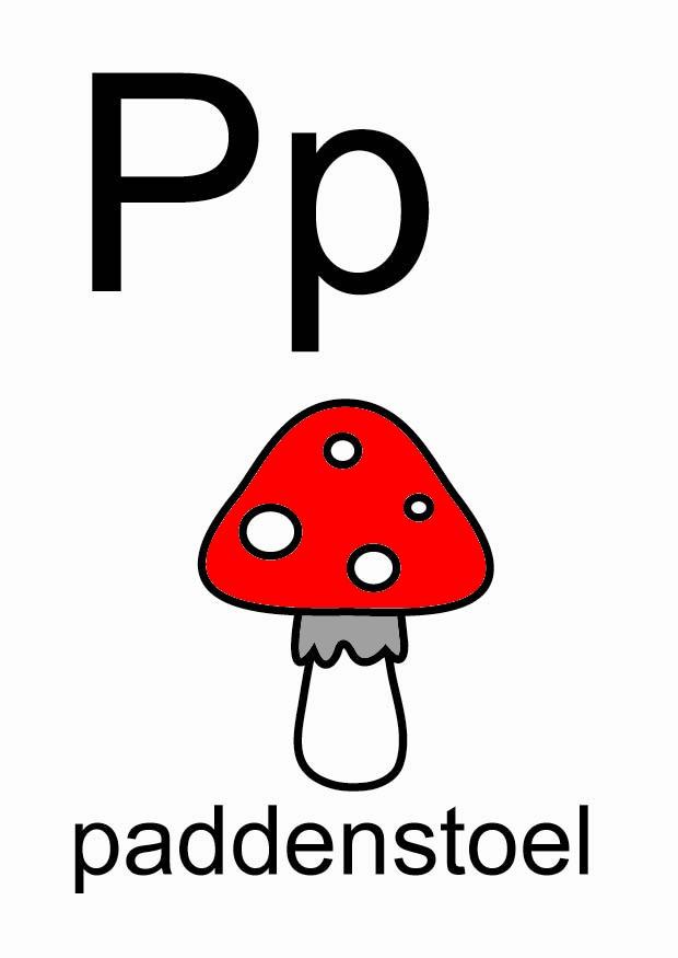 p Bild p