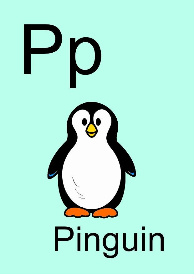 p Bild p