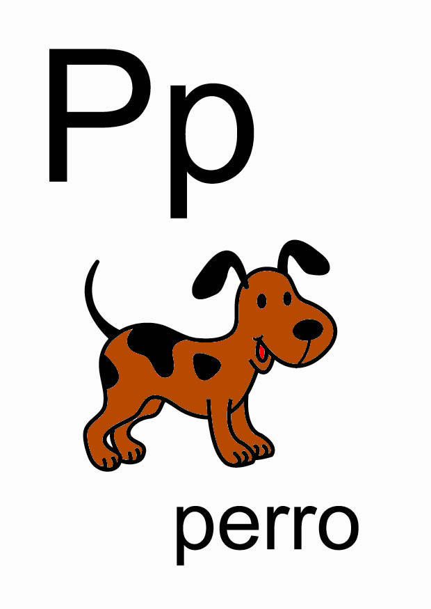 p Bild p