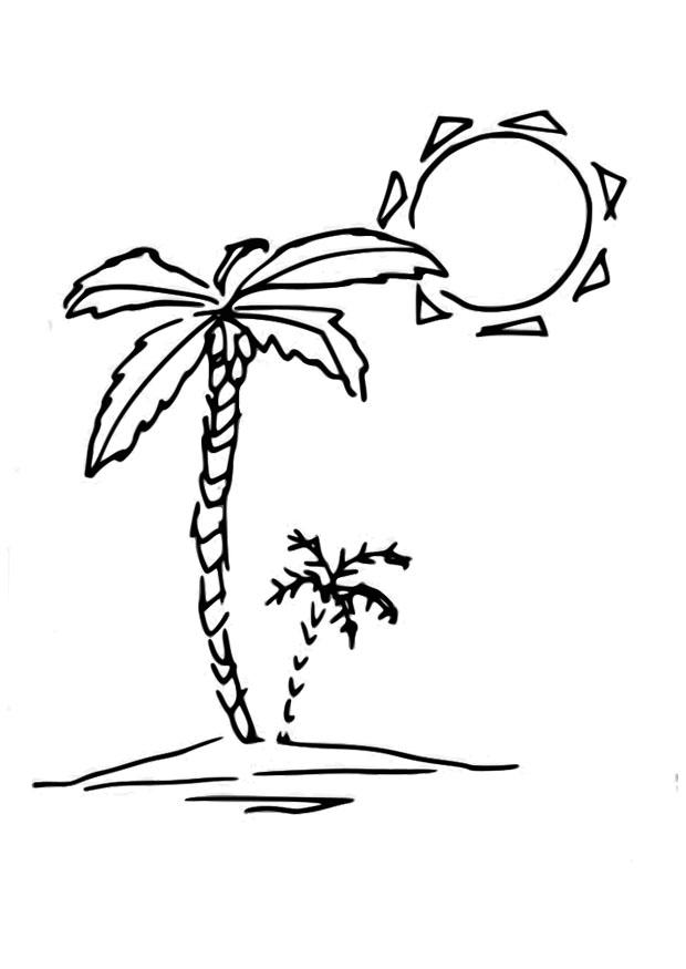 palme Malvorlage palme