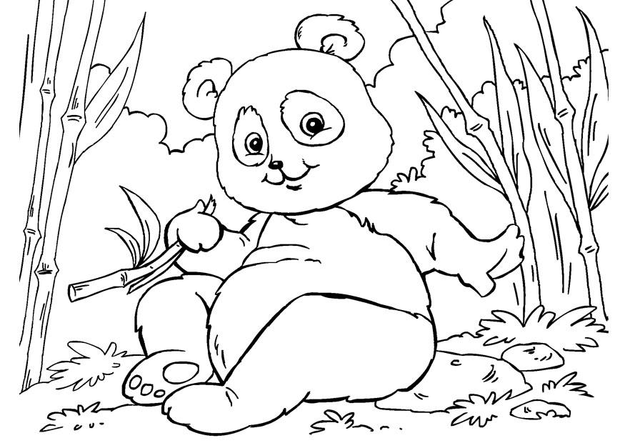 Malvorlage panda