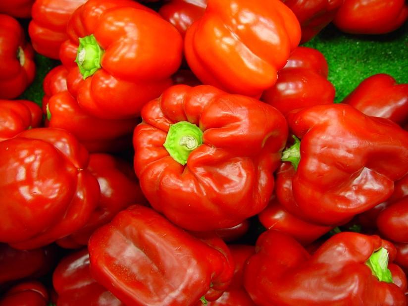 paprika Foto paprika