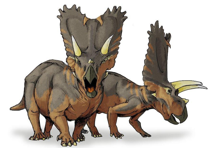 pentaceratops dinosaurier Bild pentaceratops dinosaurier