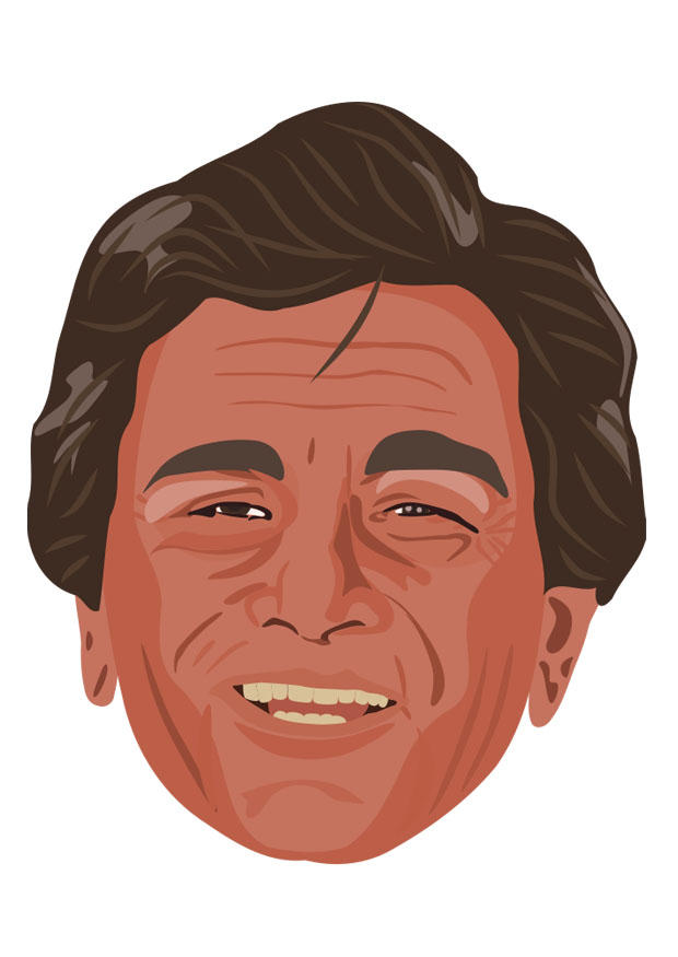 Bild peter falk