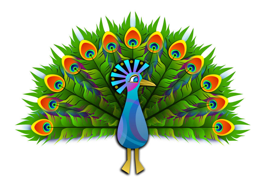 Bild pfau