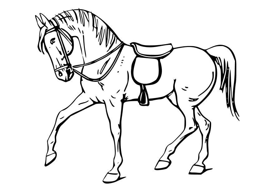 Malvorlage pferd