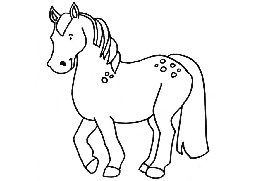 Malvorlage pferd