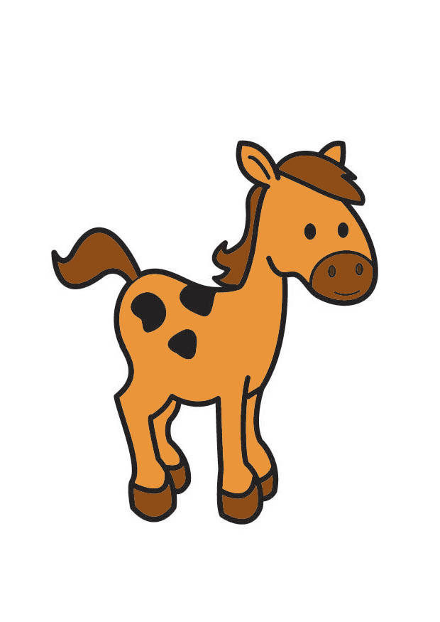 pferd Bild pferd