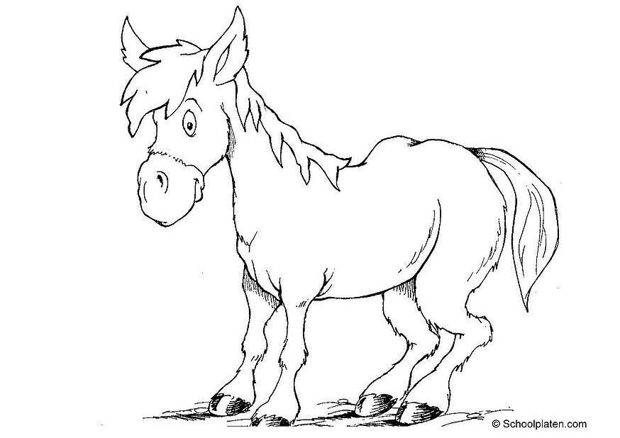 pferd Malvorlage pferd