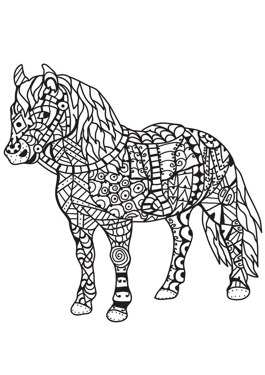 pferd Malvorlage pferd